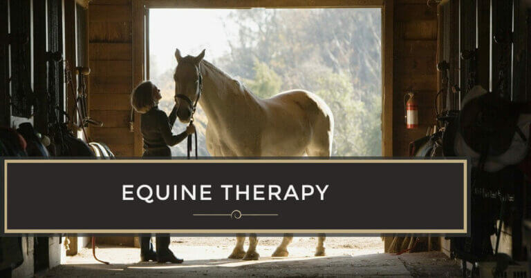 Equine-Therapy